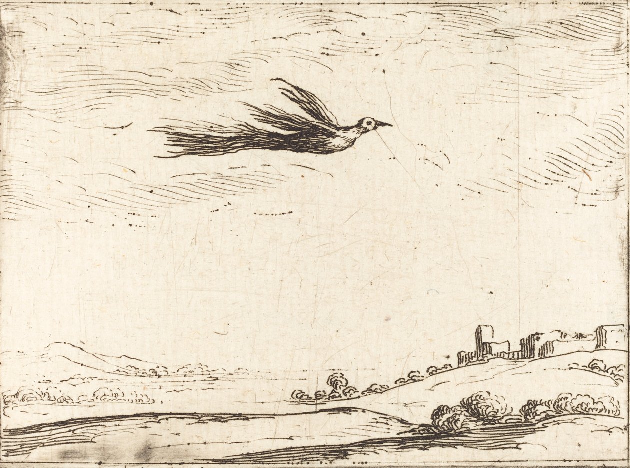 Paradisets fågel av Jacques Callot