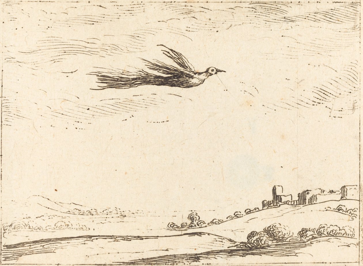 Paradisets fågel av Jacques Callot