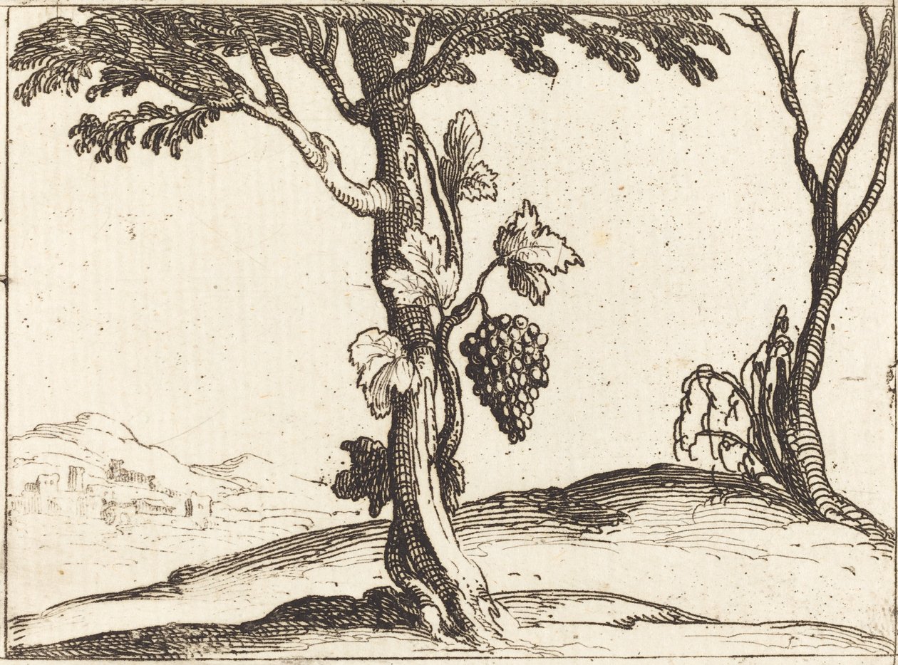 Druvklase av Jacques Callot