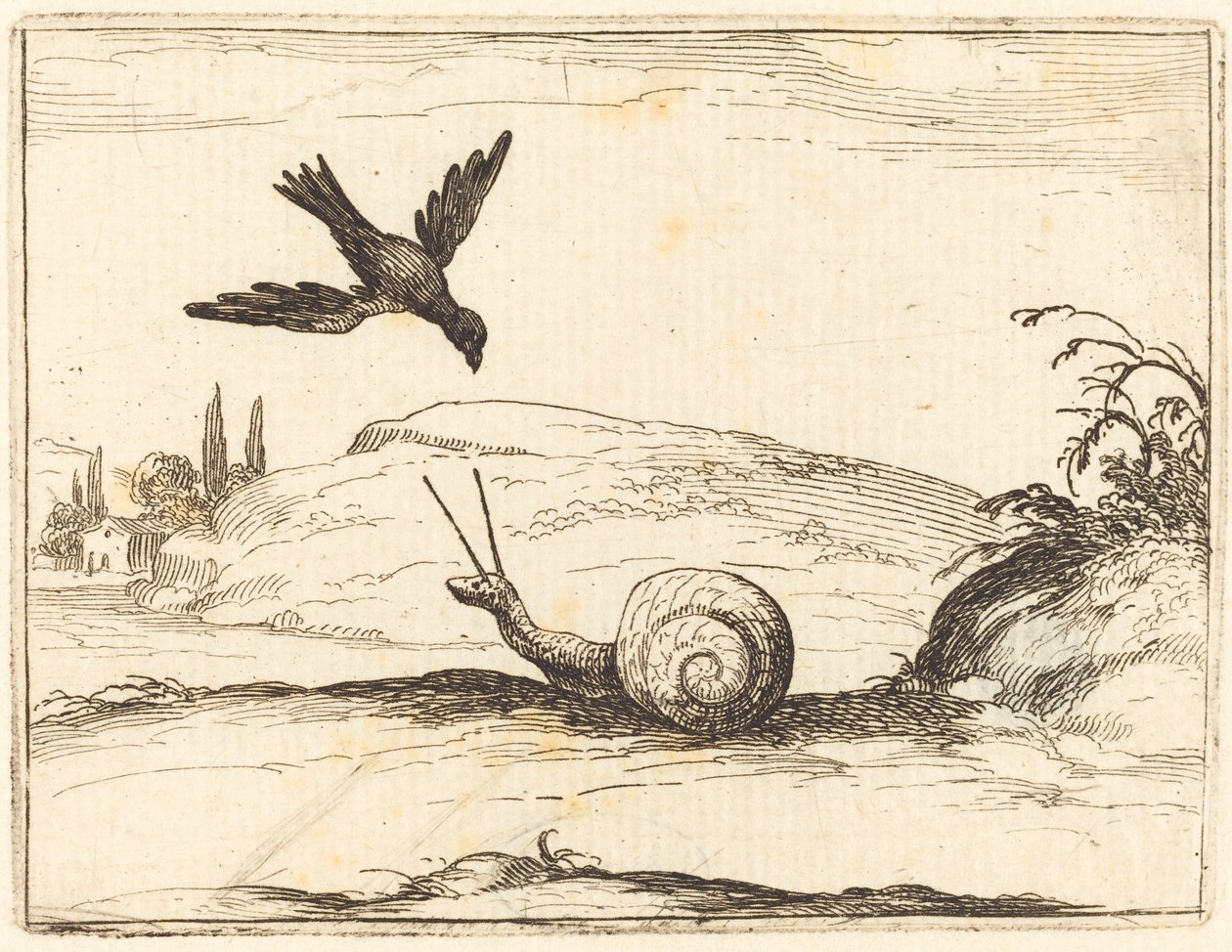 Kråka och snigel av Jacques Callot