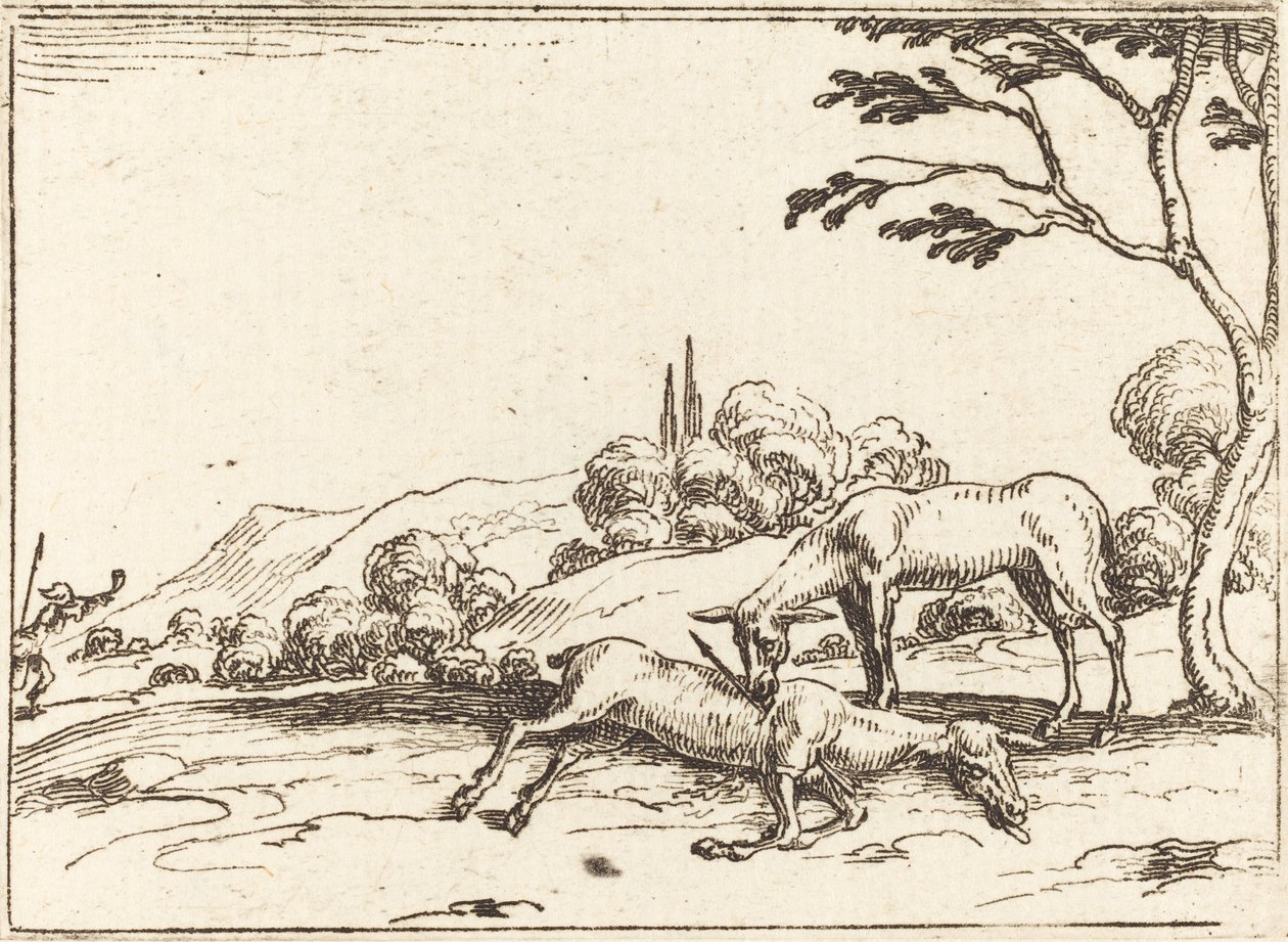 Doe som sörjer sitt föl av Jacques Callot