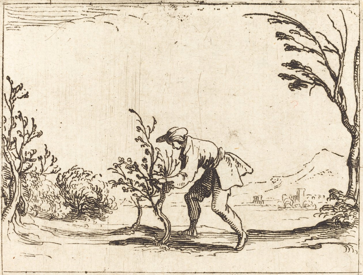 Man skär ett balsam-träd av Jacques Callot