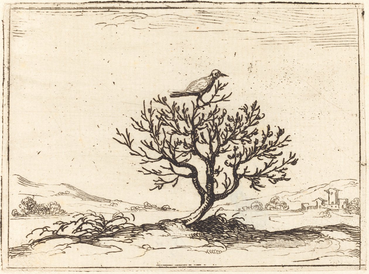 Näktergal i en buske av Jacques Callot