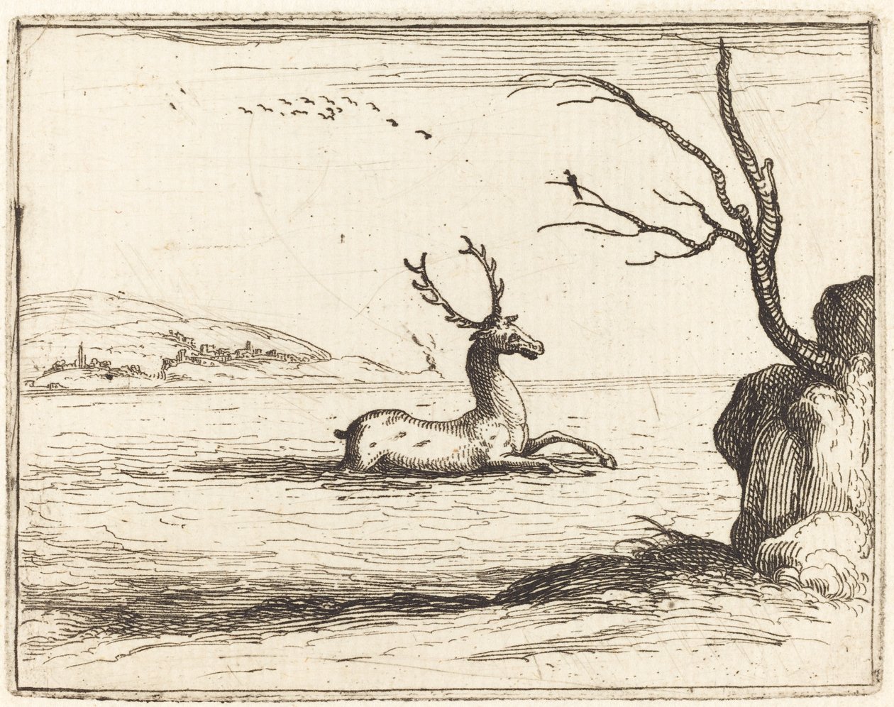 Stag i vattnet av Jacques Callot
