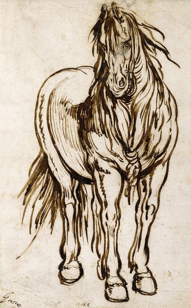 Studie av en häst, av Jacques Callot