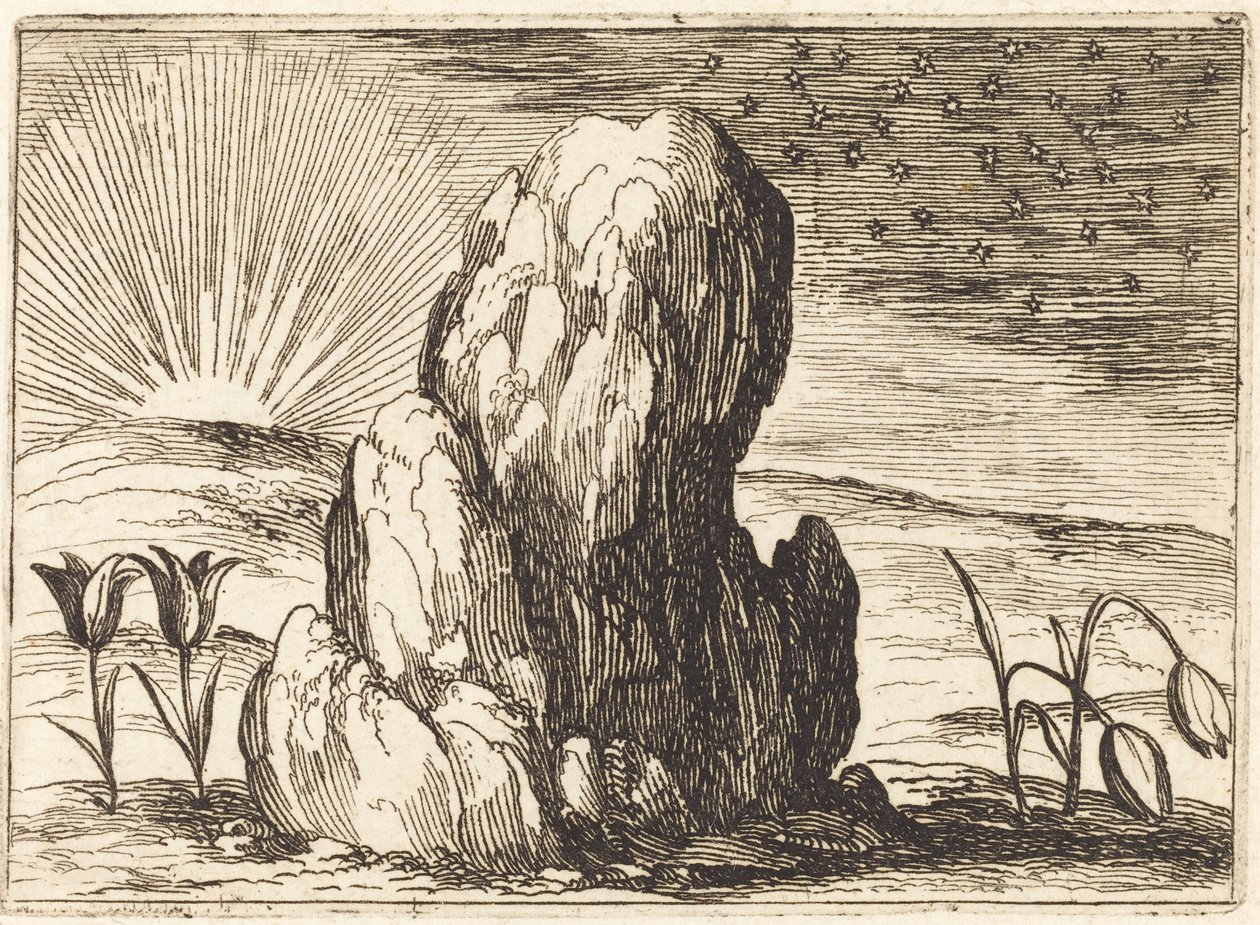 Tulpanerna och solen av Jacques Callot