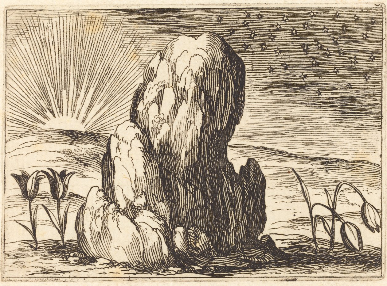 Tulpanerna och solen av Jacques Callot