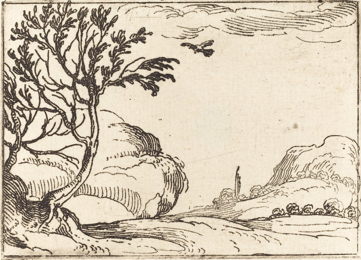 Turtle Duva flyger i öknen av Jacques Callot
