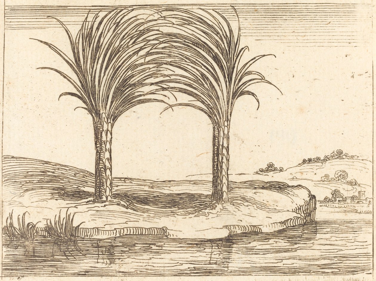 Två palmer. av Jacques Callot