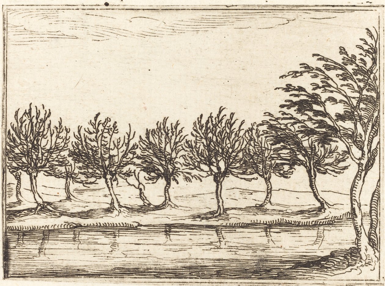 Willows vid vattenbrynet av Jacques Callot