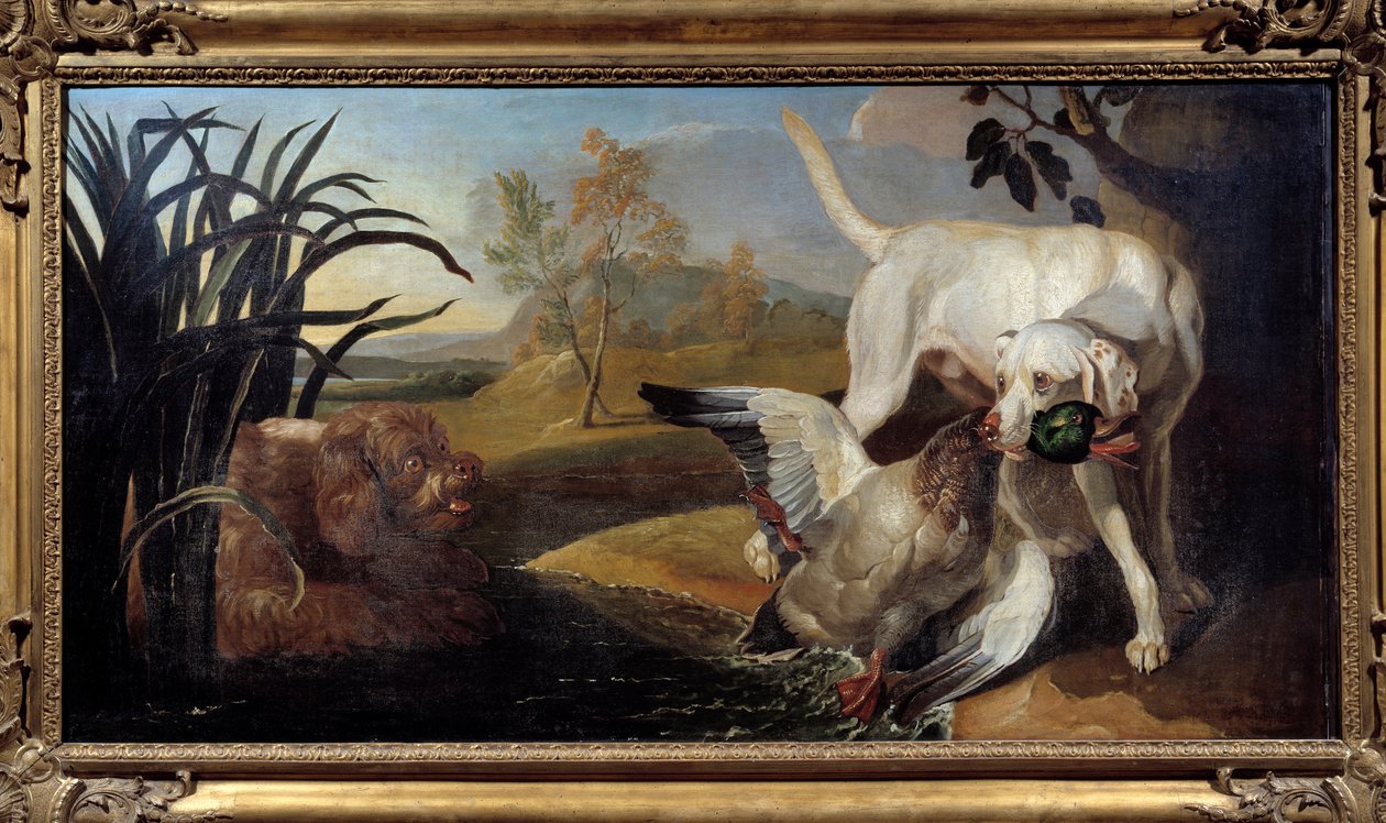 Braque hund som håller en gräsand i munnen Målning av Jacques Charles Oudry (1720-1778) 1700-talets Paris, dekorativ konst av Jacques Charles Oudry
