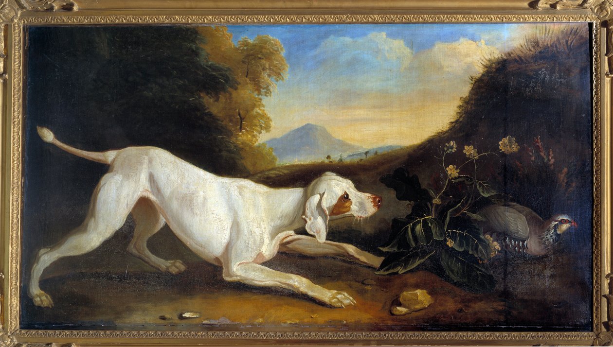 Dog Braque framför en fasan Målning av Jacques Charles Oudry (1720-1778) 1700-talets Paris, dekorativ konst av Jacques Charles Oudry