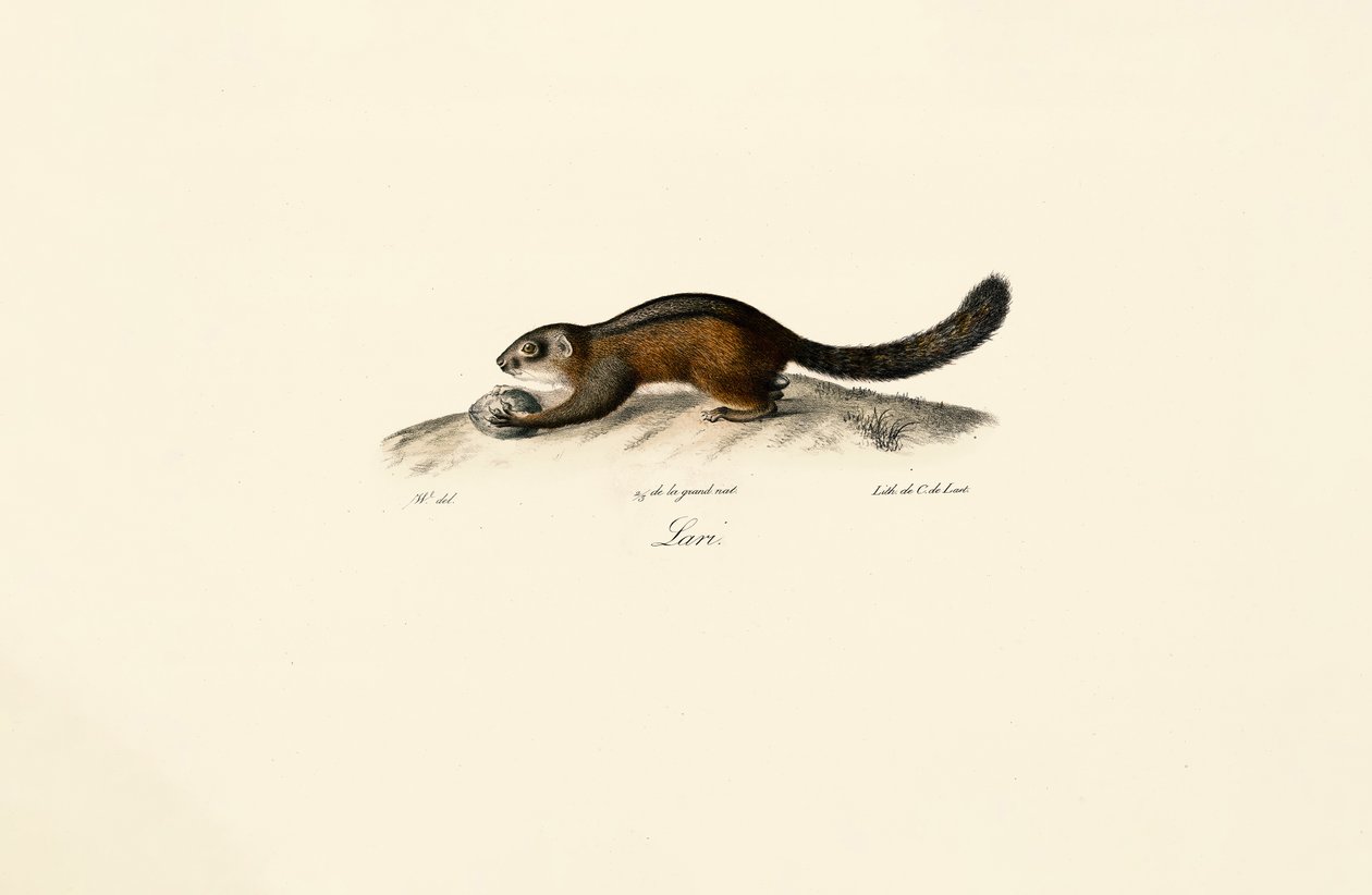  av Jacques Christophe Werner
