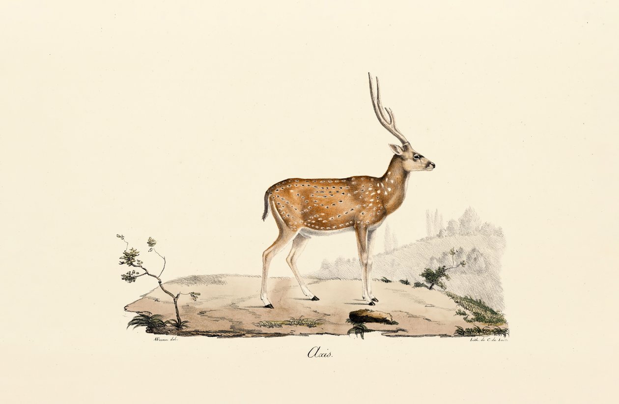  av Jacques Christophe Werner