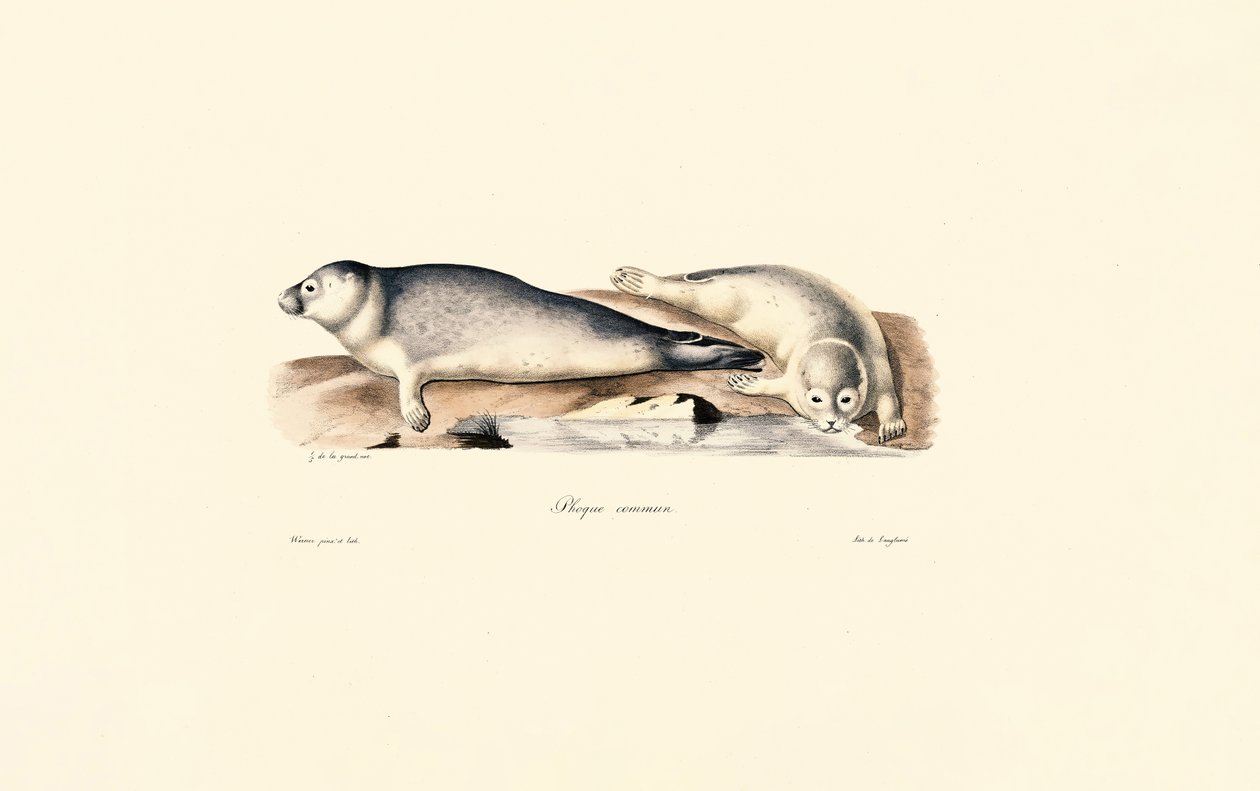 Gemensamt sigill av Jacques Christophe Werner