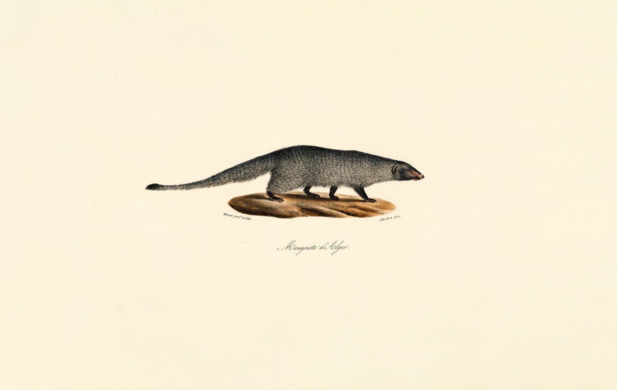  av Jacques Christophe Werner