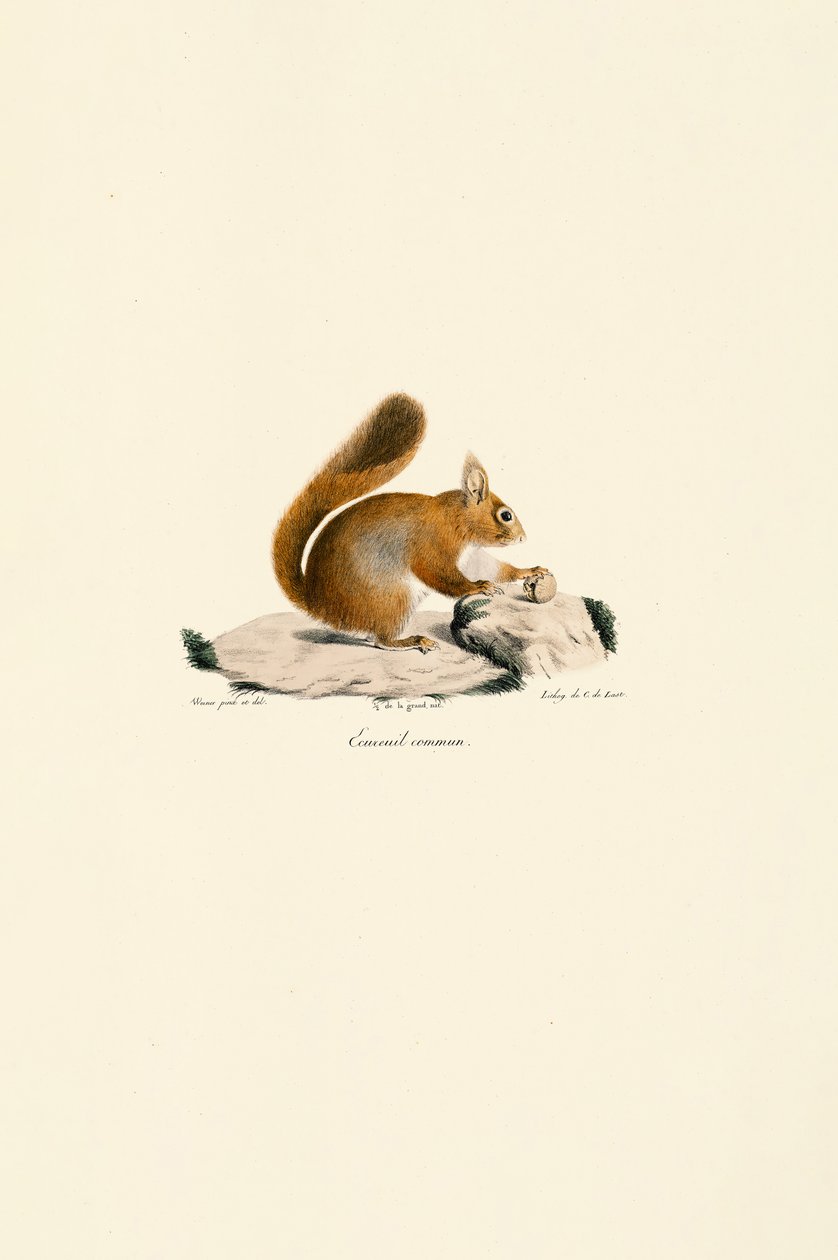  av Jacques Christophe Werner