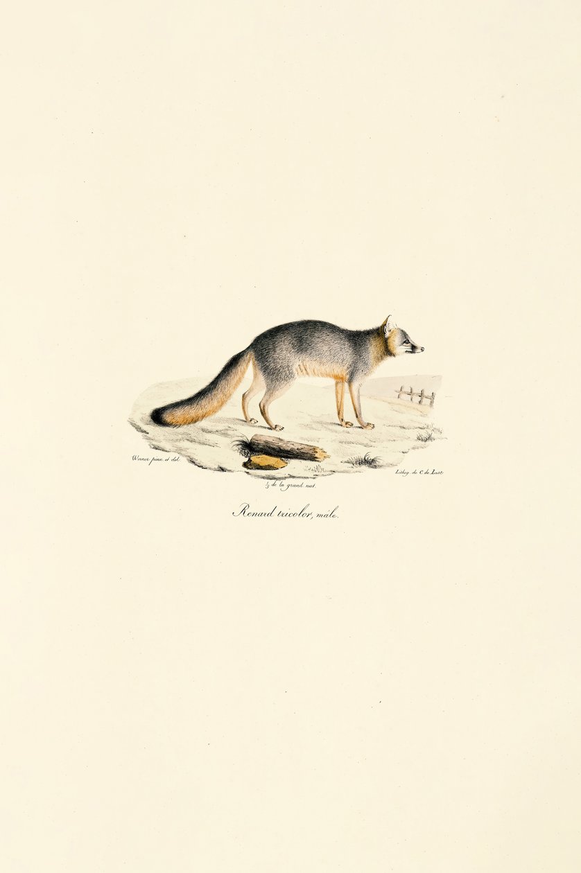  av Jacques Christophe Werner