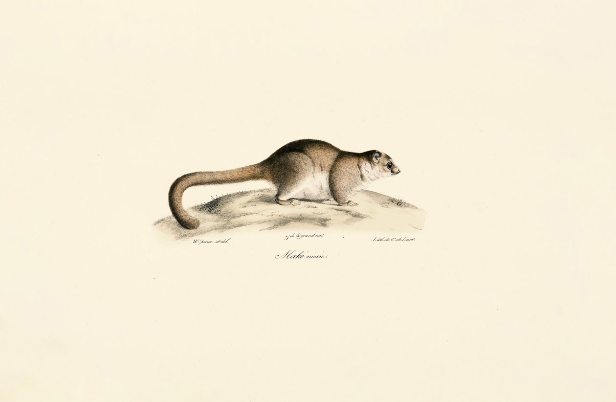  av Jacques Christophe Werner