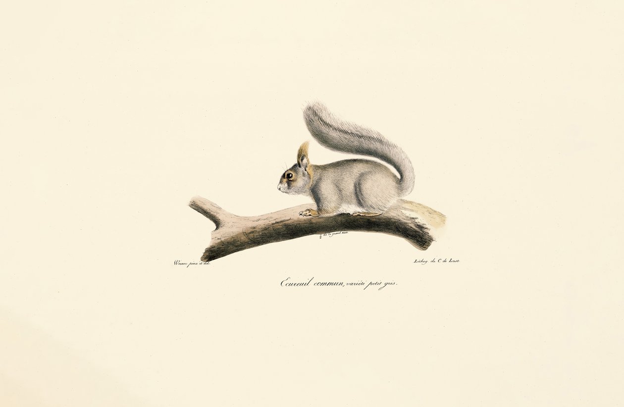  av Jacques Christophe Werner
