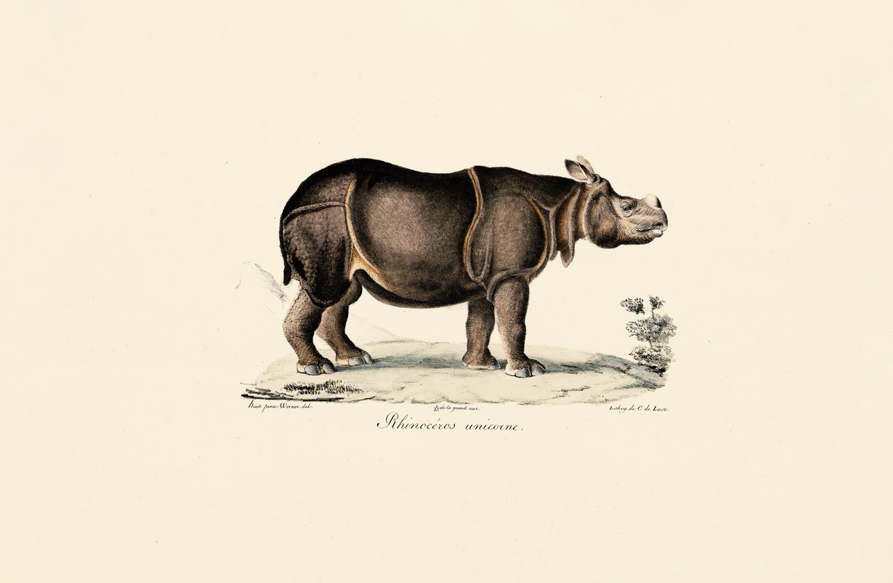  av Jacques Christophe Werner
