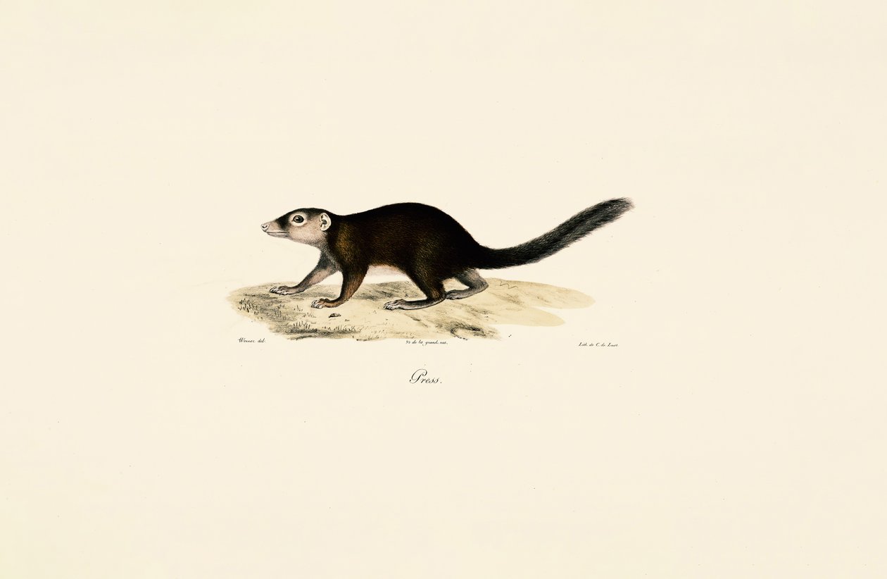  av Jacques Christophe Werner