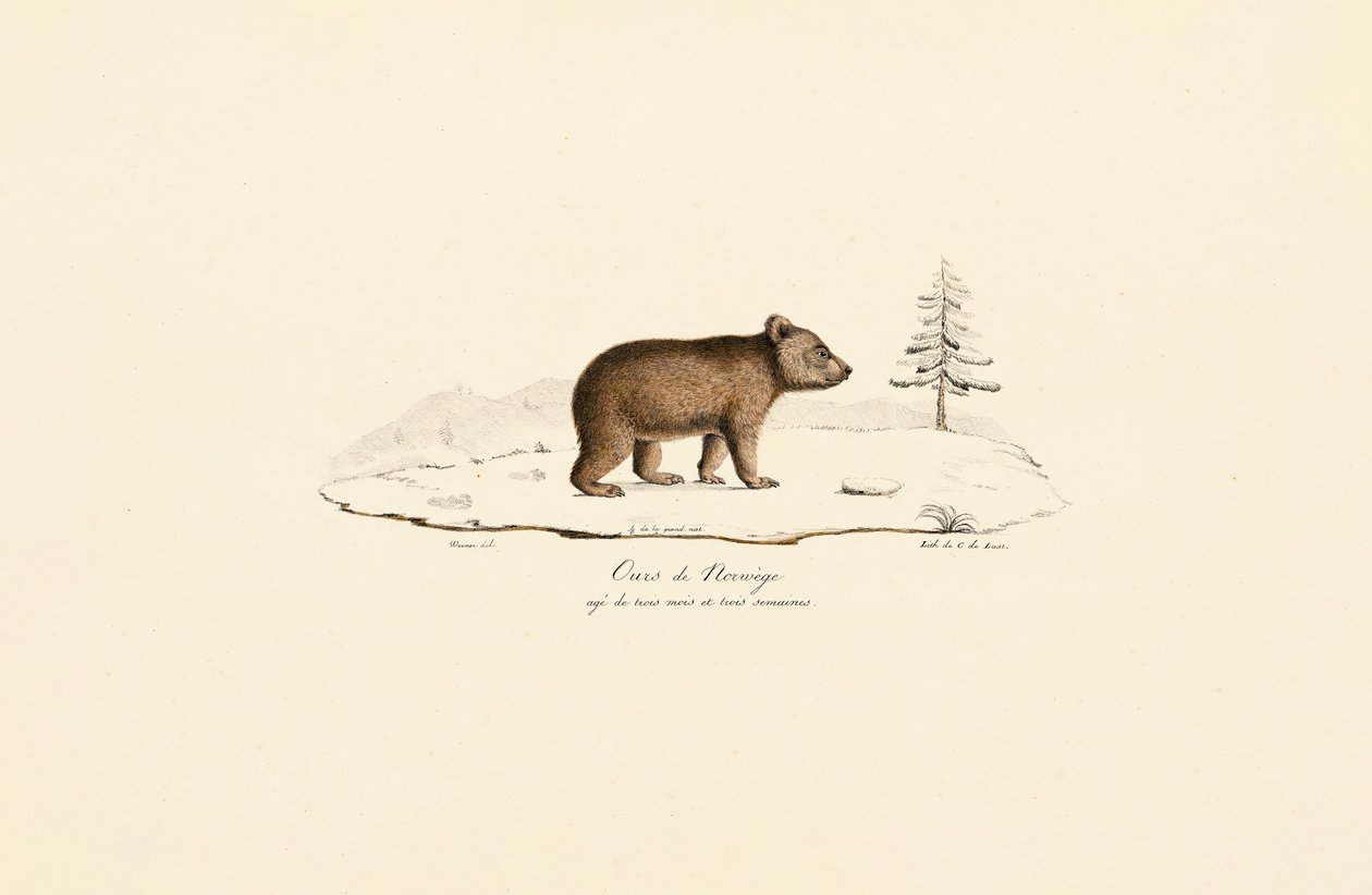  av Jacques Christophe Werner