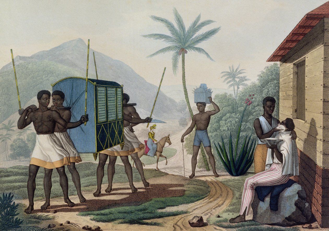 En Palanquin som bärs i Ile de France, från 