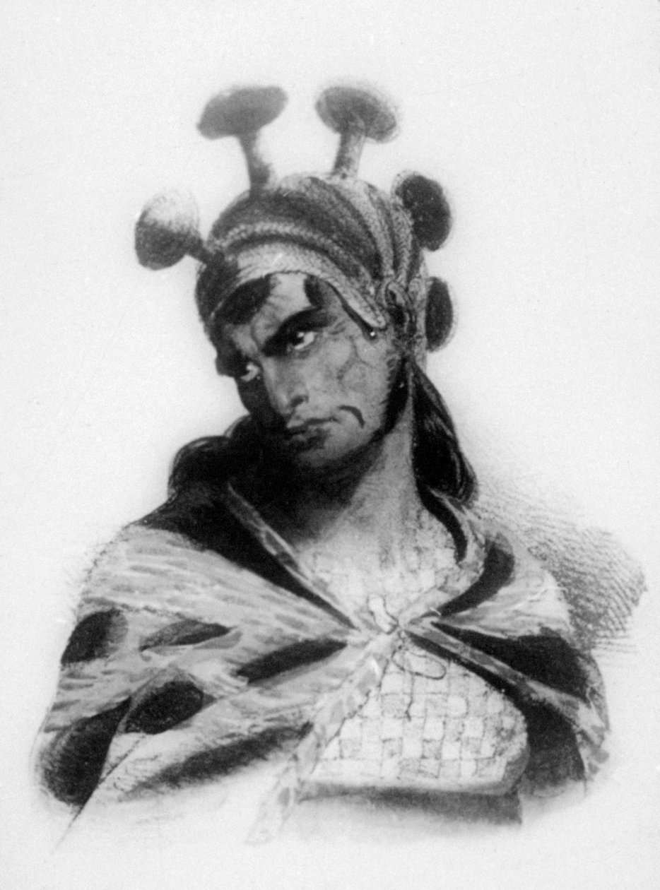 Hawaiiansk krigare med hjälm med svampprydd vapen, 1819 av Jacques Etienne Victor Arago