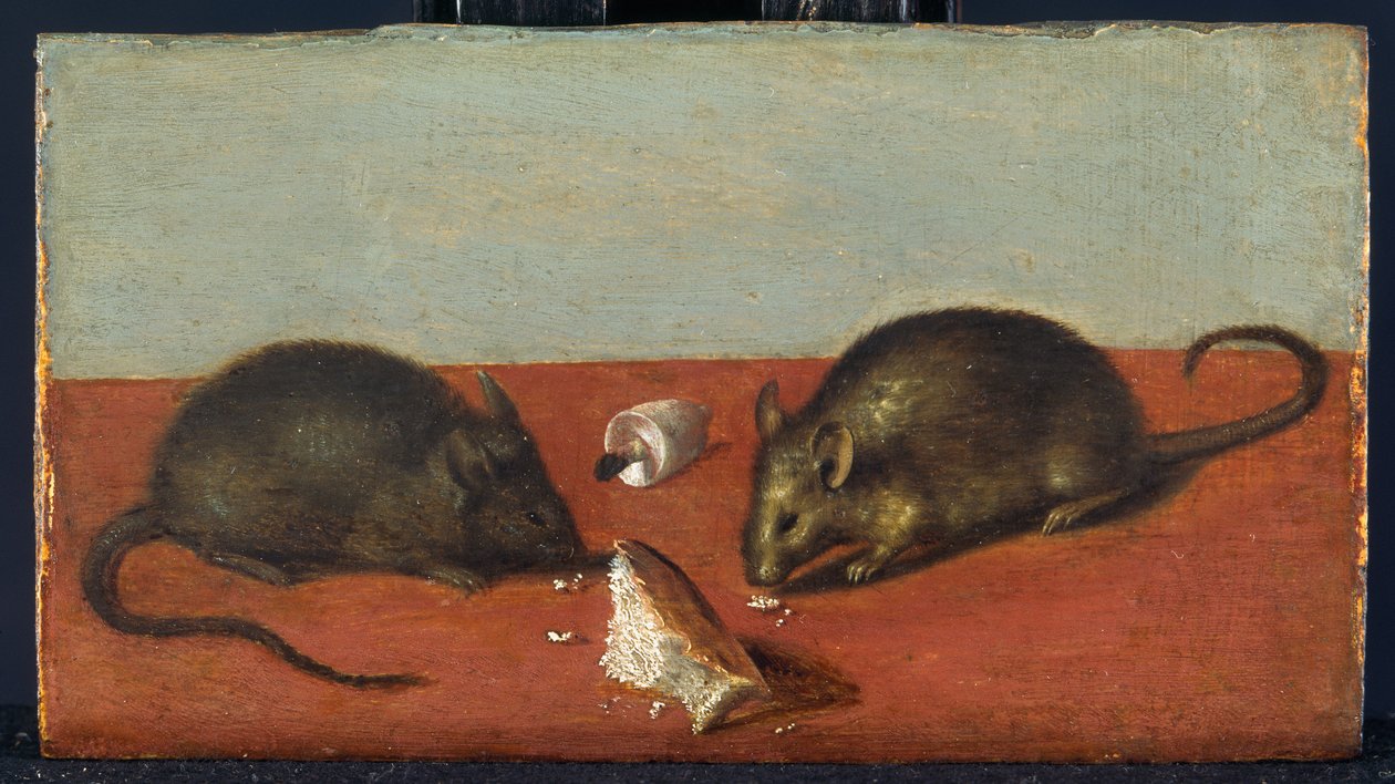 Möss, ca 1600 (olja på ek) av Jacques II de Gheyn