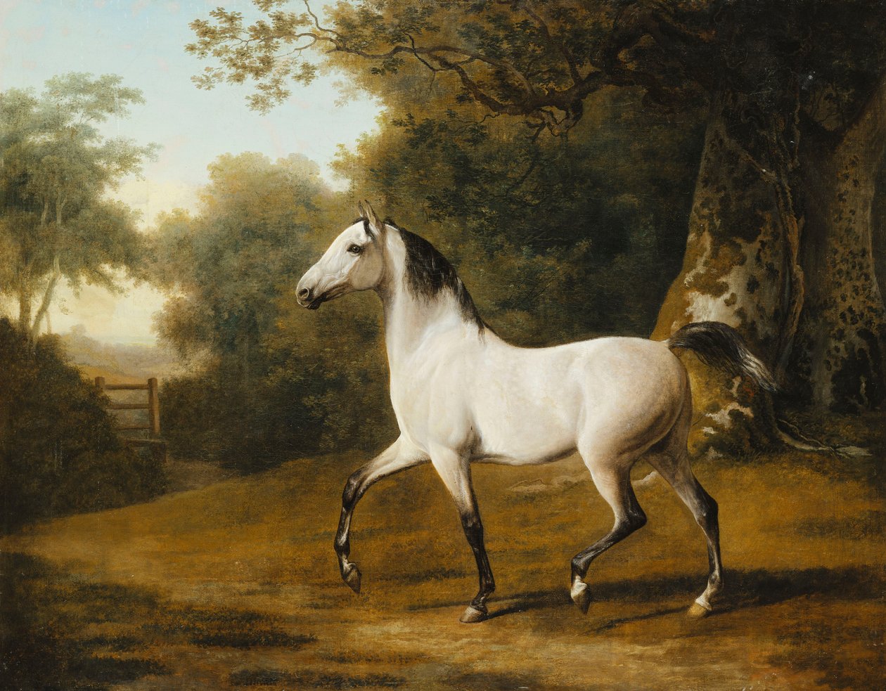 En grå arabisk hingst i ett skogslandskap, av Jacques Laurent Agasse