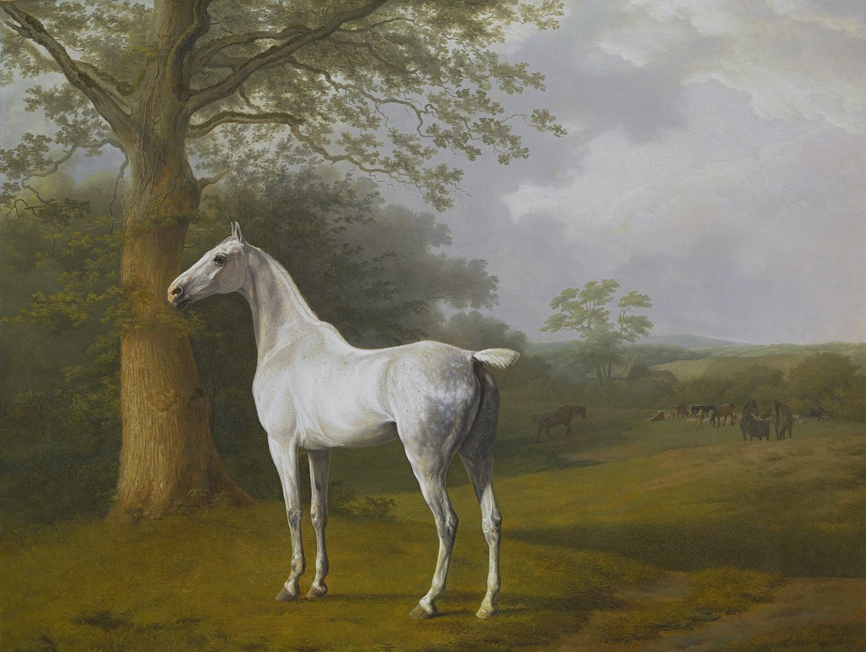 Grå häst i beteshage av Jacques Laurent Agasse