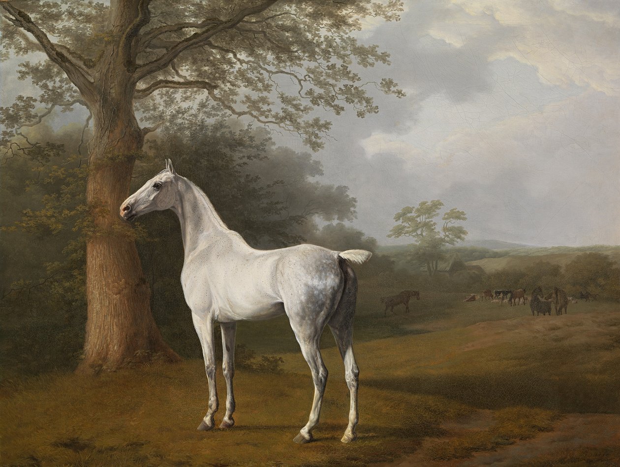 Grå häst på ängen av Jacques Laurent Agasse