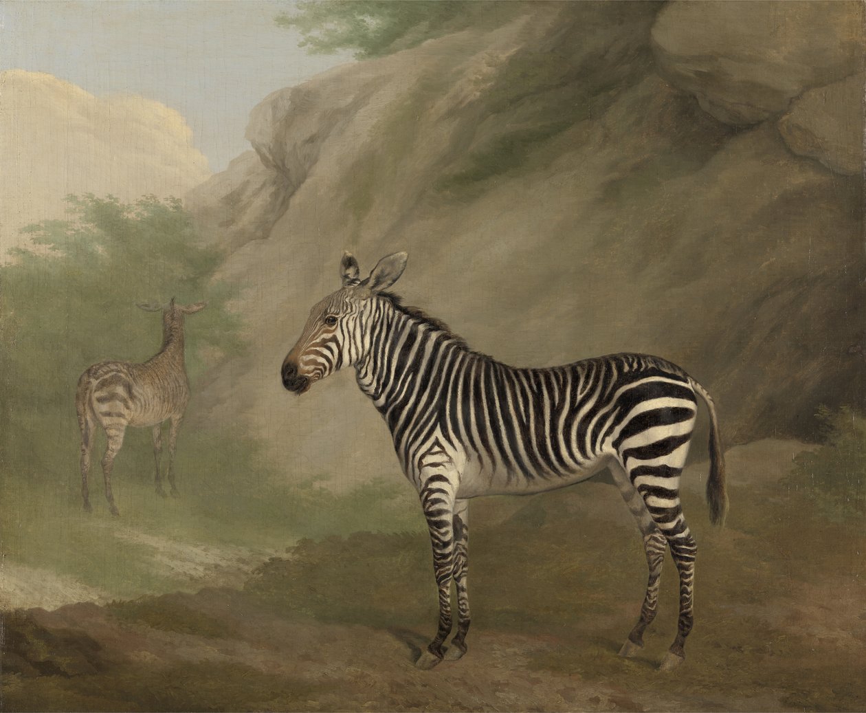 Zebra av Jacques Laurent Agasse