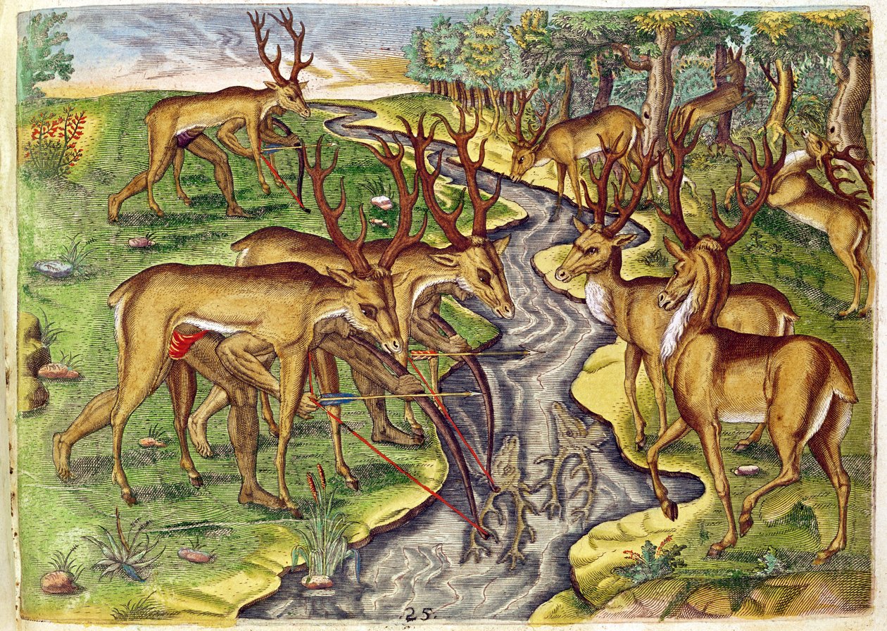 Stag Hunt, från 