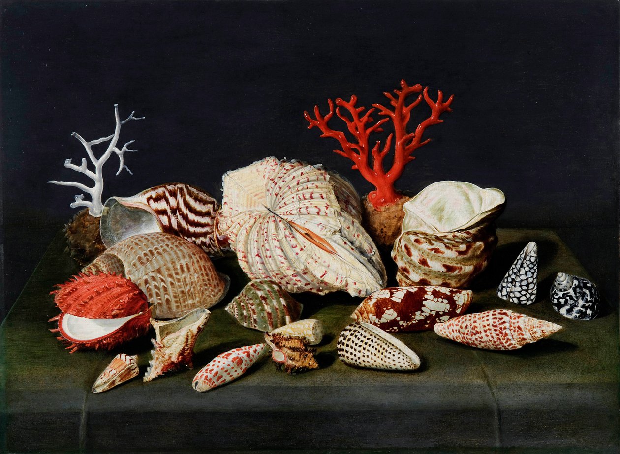 ""Stilleben med snäckor och koraller"" (Stilleben med snäckor och koraller) Målning av Jacques Linard (1597-1645), - Olja på trä, 47x64 - Fondation Custodia av Jacques Linard