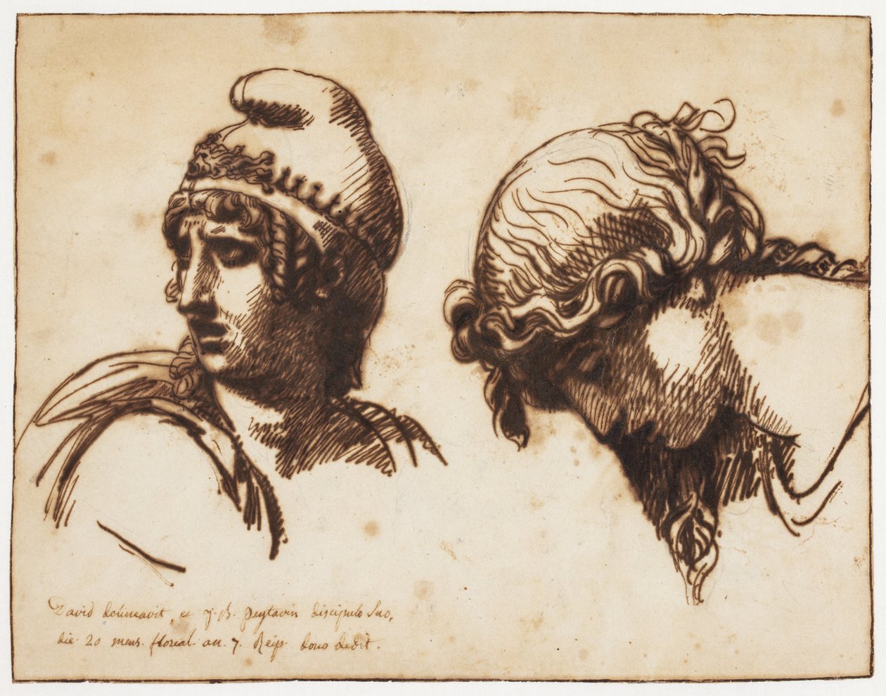 En kvinnas och ett husdjurs huvud av Jacques Louis David