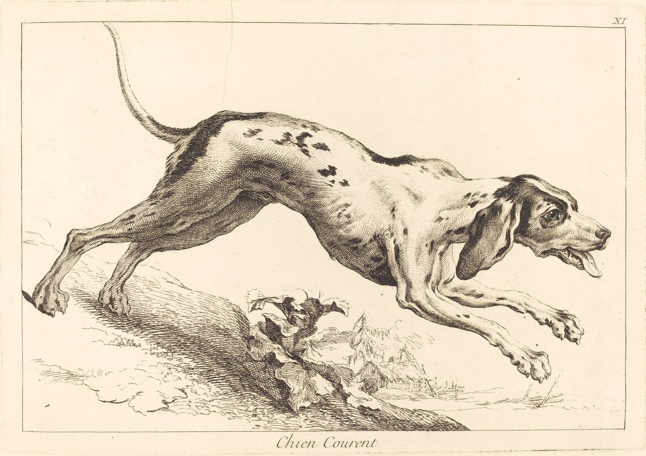 Chien courent (Running Hound) av Jacques Philippe Le Bas and Jean Eric Rehn after Jean Baptiste Oudry
