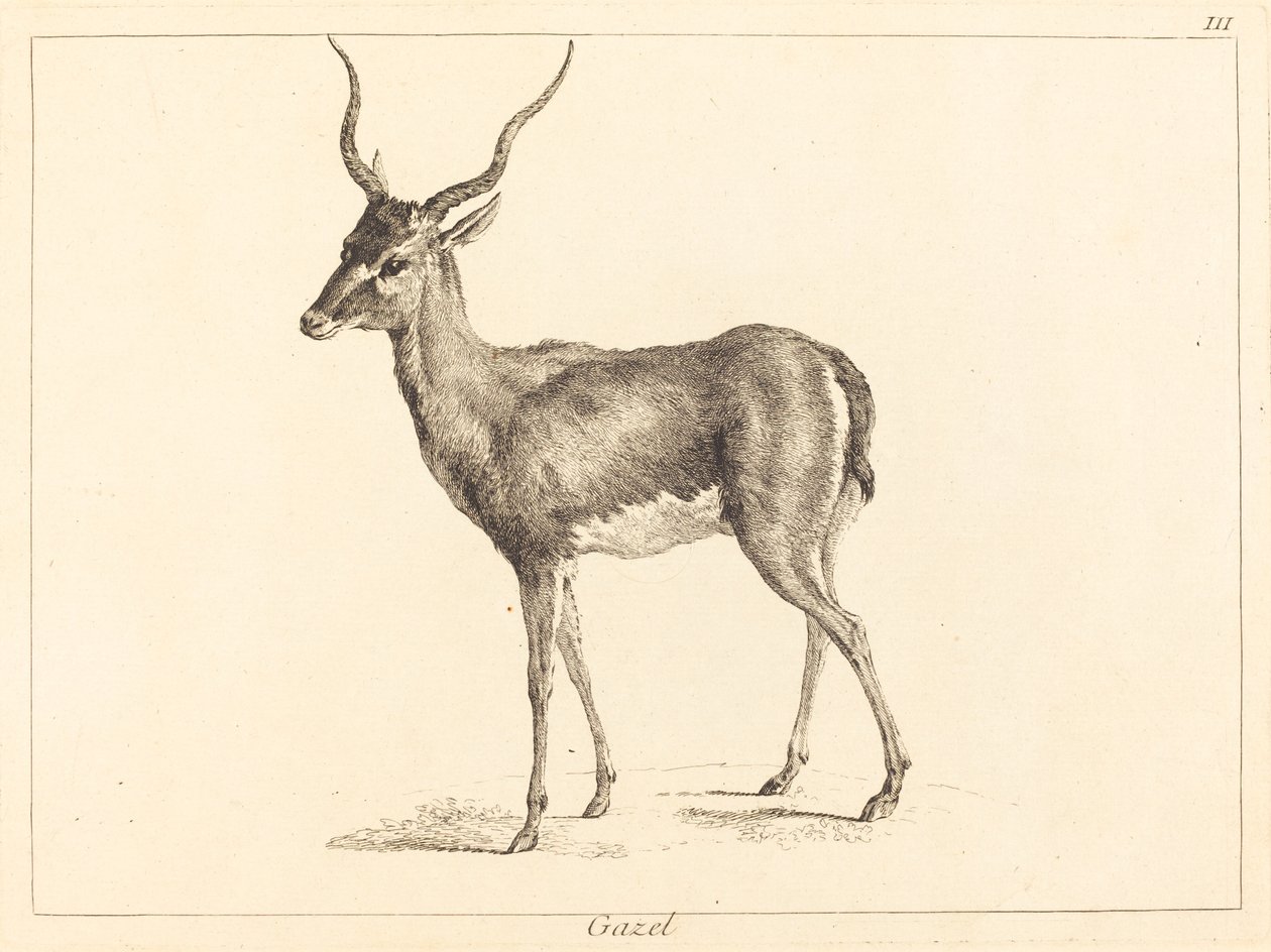Gasell (gasell) av Jacques Philippe Le Bas and Jean Eric Rehn after Jean Baptiste Oudry