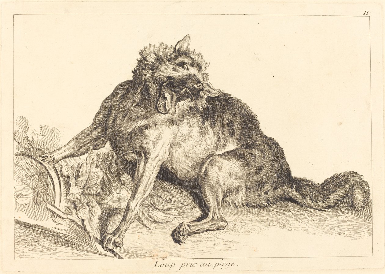 Varg fångad i en fälla av Jacques Philippe Le Bas and Jean Eric Rehn after Jean Baptiste Oudry
