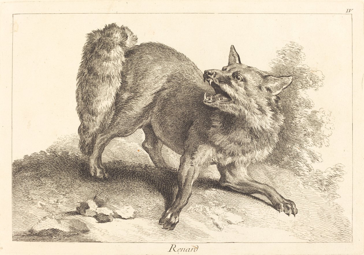 Renard (räv) av Jacques Philippe Le Bas and Jean Eric Rehn after Jean Baptiste Oudry