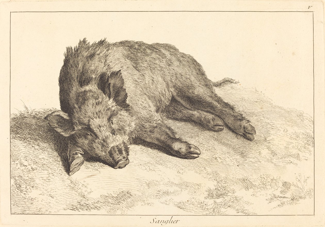 Sanglier (vildsvin som ligger ner, gå till vänster) av Jacques Philippe Le Bas and Jean Eric Rehn after Jean Baptiste Oudry