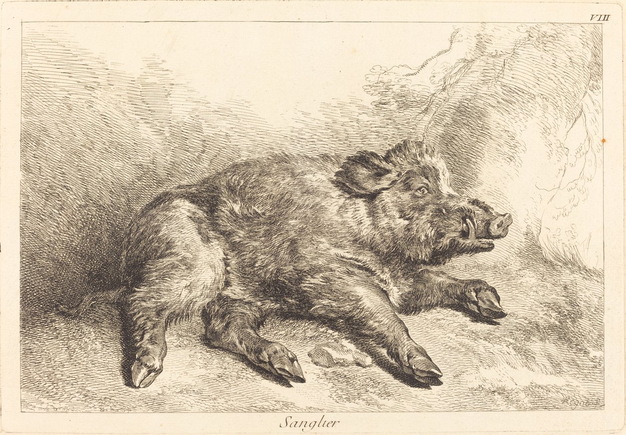 Sanglier (vildsvin som ligger ner, gå till höger) av Jacques Philippe Le Bas and Jean Eric Rehn after Jean Baptiste Oudry