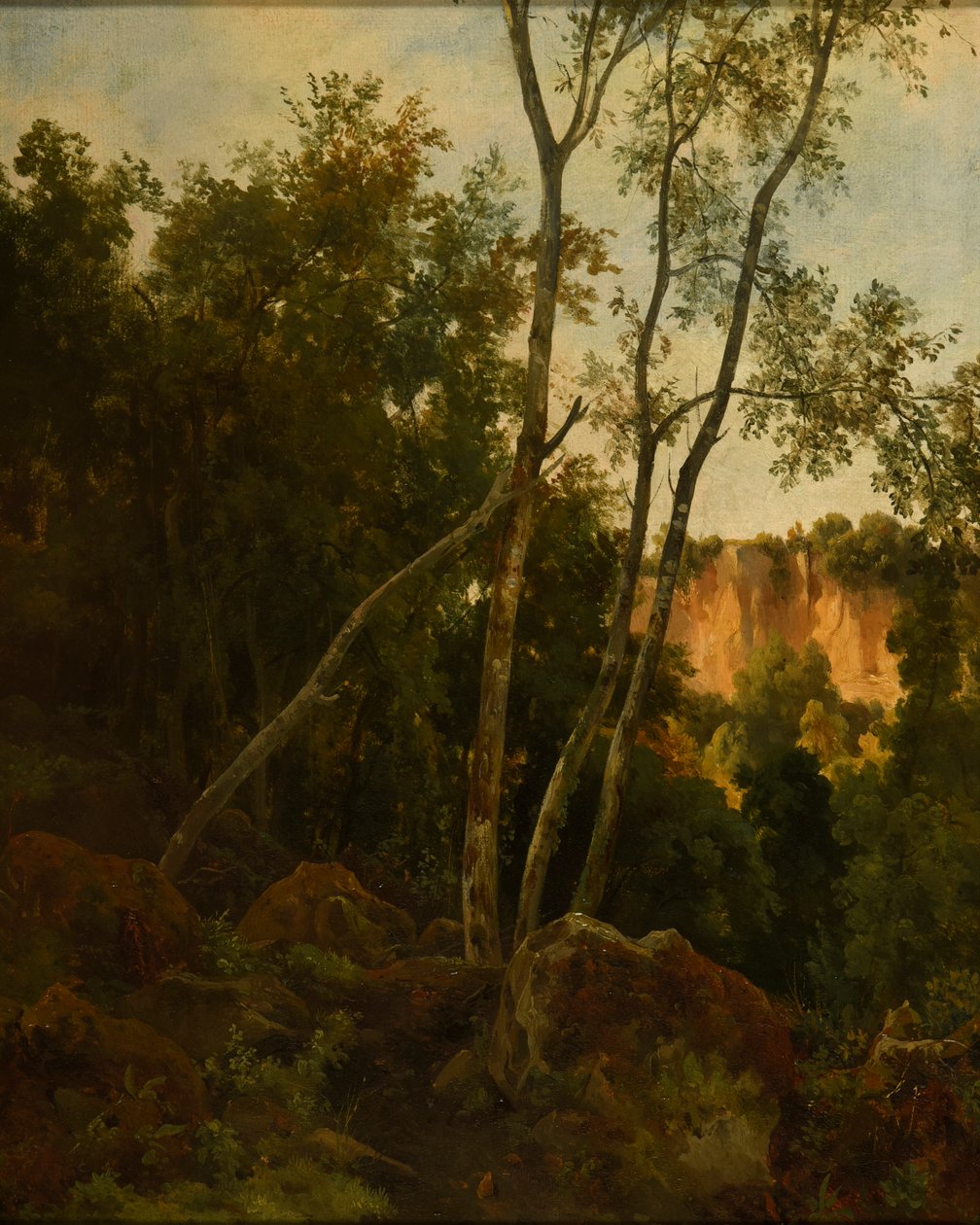 Skog med stenar av Jacques Raymond Brascassat
