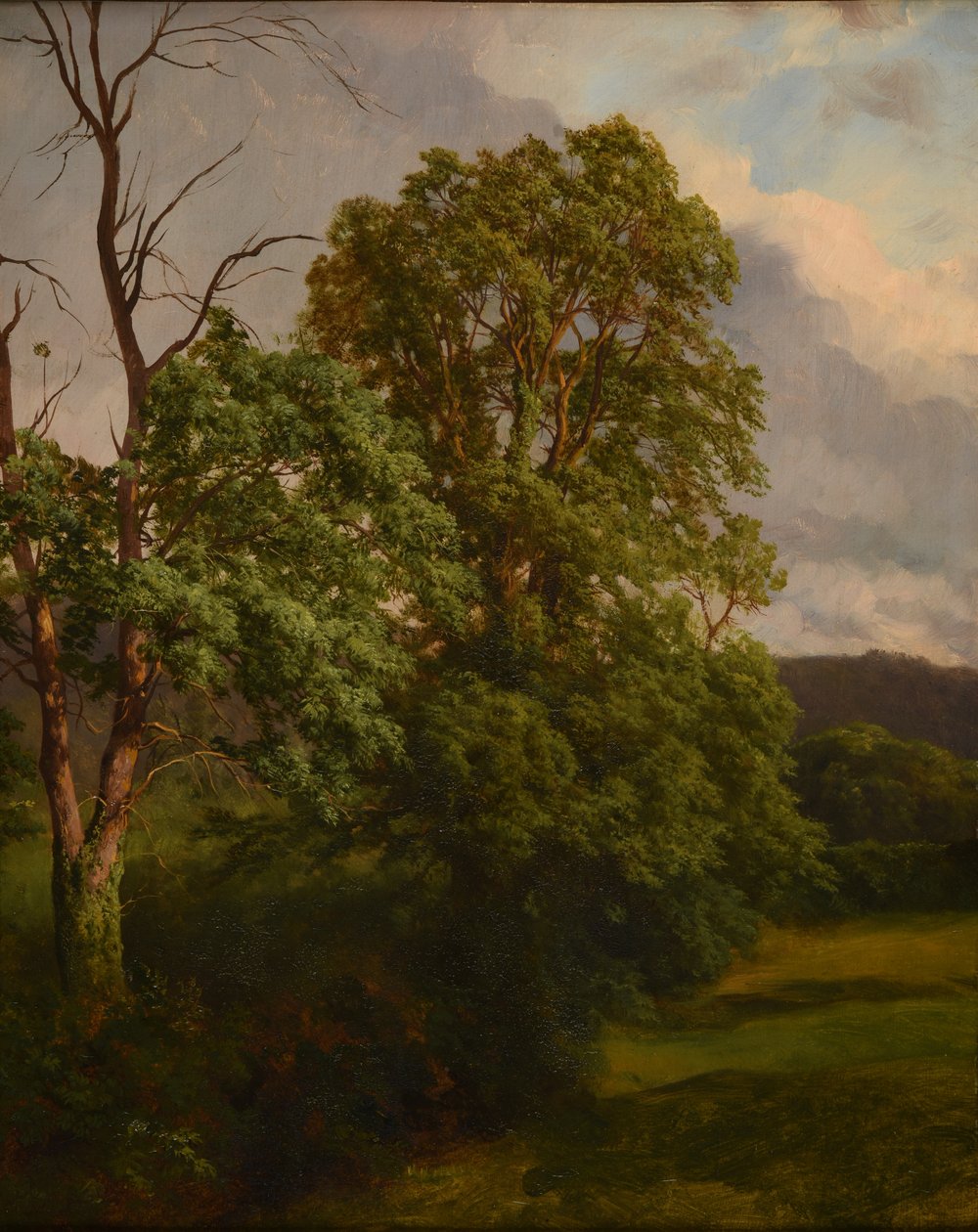 Les Chênes av Jacques Raymond Brascassat