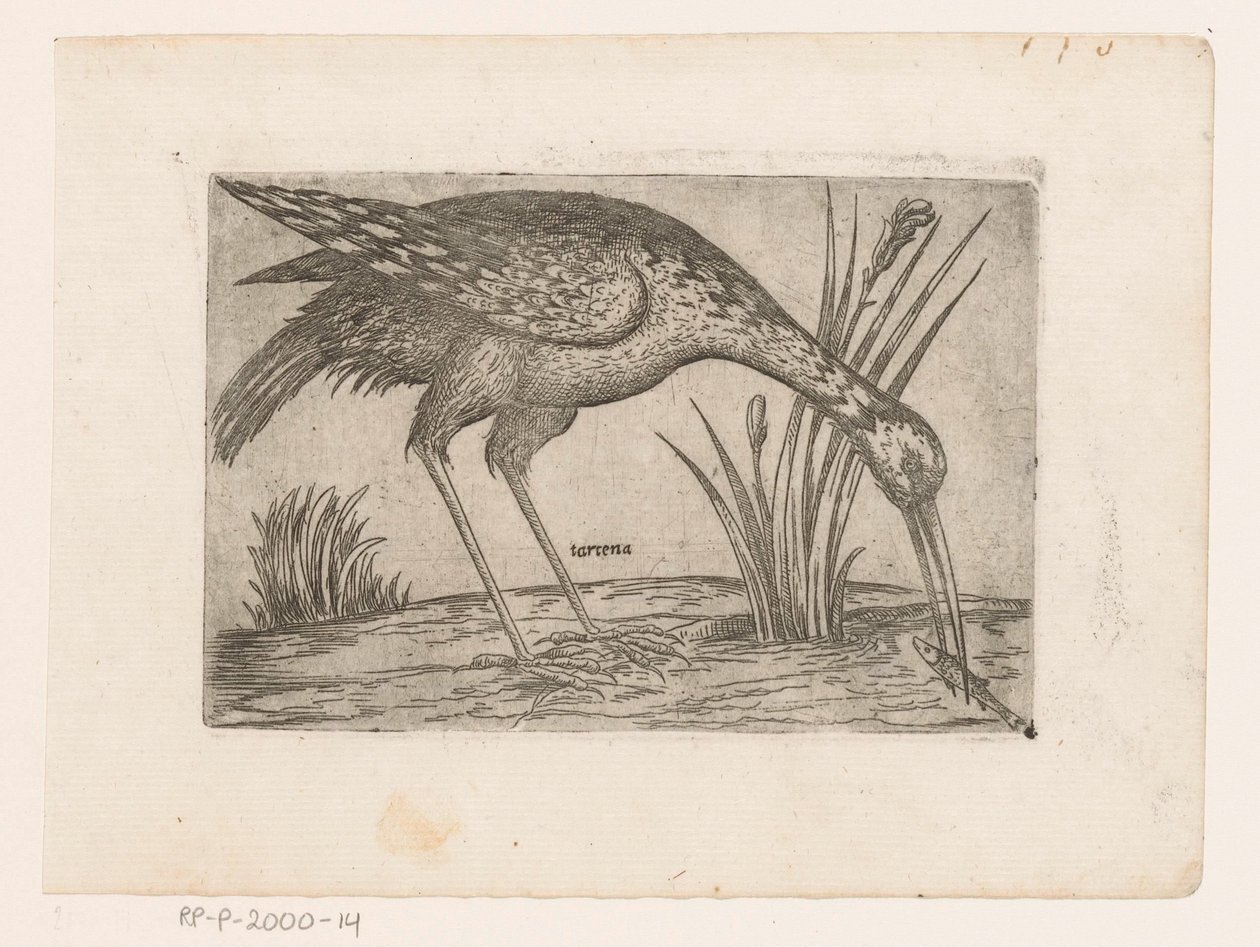 Vogel Tartena (titel på objekt) Vogels (serietitel) av Jacques de Fornazeris (possibly)