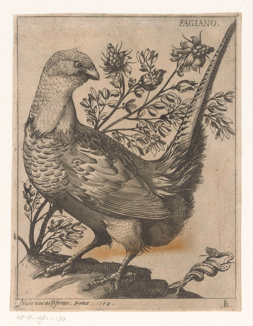 Fasan Fagiano (titel på objekt) Nine Birds (serietitel) av Jacques de Fornazeris