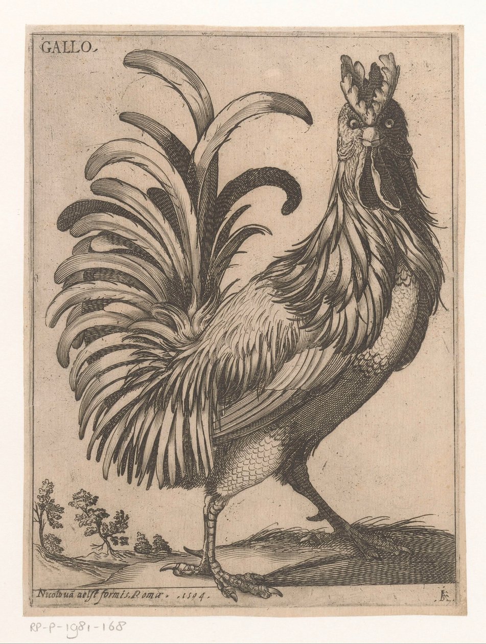 tupp Gallo (titel på objekt) Nine Birds (serietitel) av Jacques de Fornazeris
