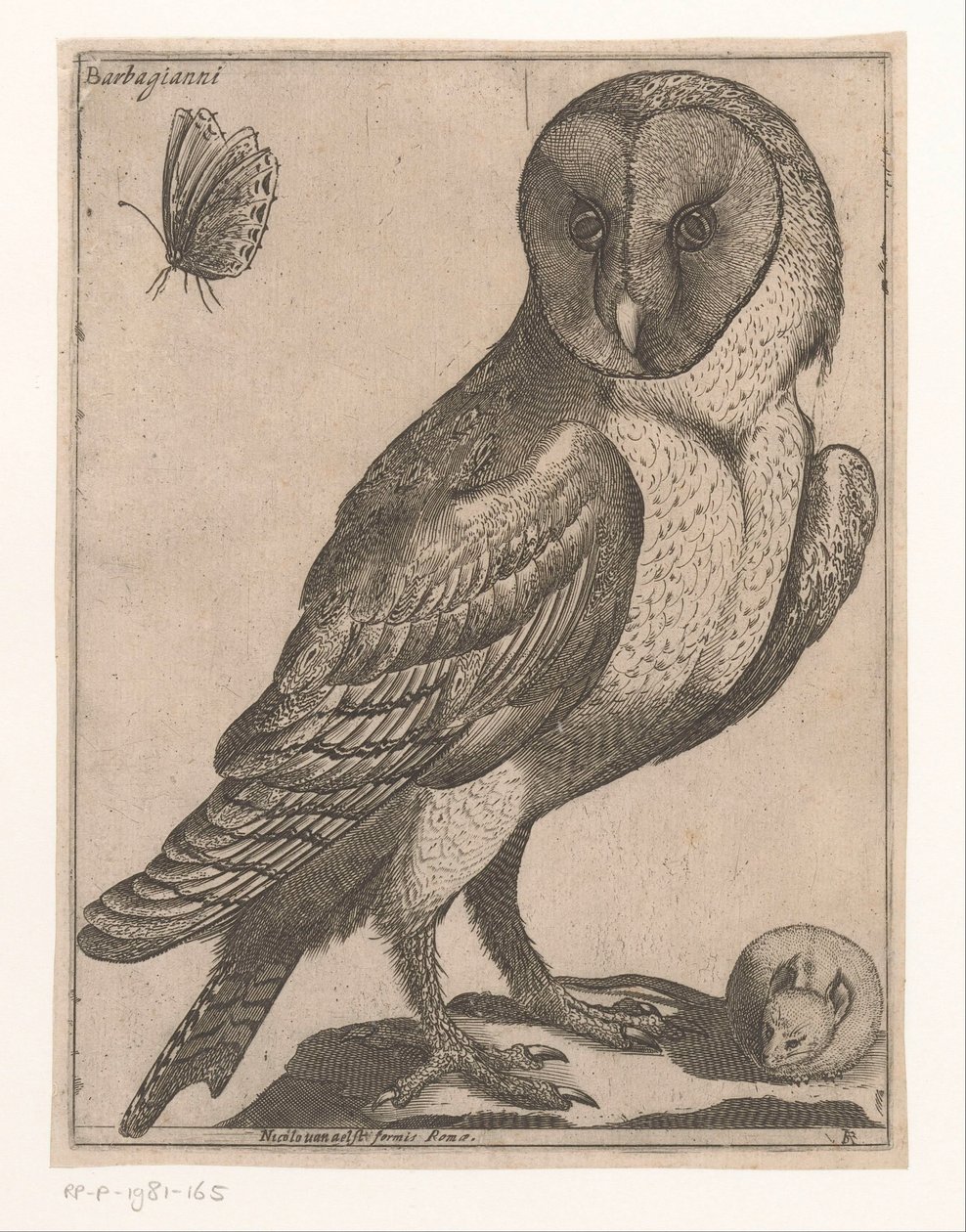kattuggla Barbagianni (titel på objekt) Nine Birds (serietitel) av Jacques de Fornazeris