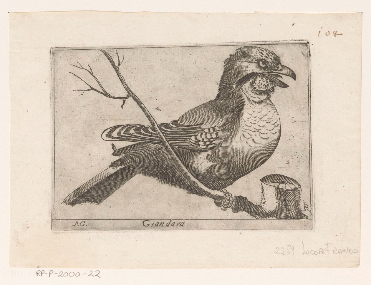 Jay (Garrulus glandarius) Giandara (titel på objekt) Fåglar (serietitel) av Jacques de Fornazeris